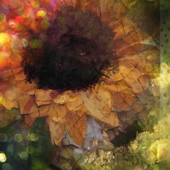 Meet your Posher, Susan - Picture 5 of 8